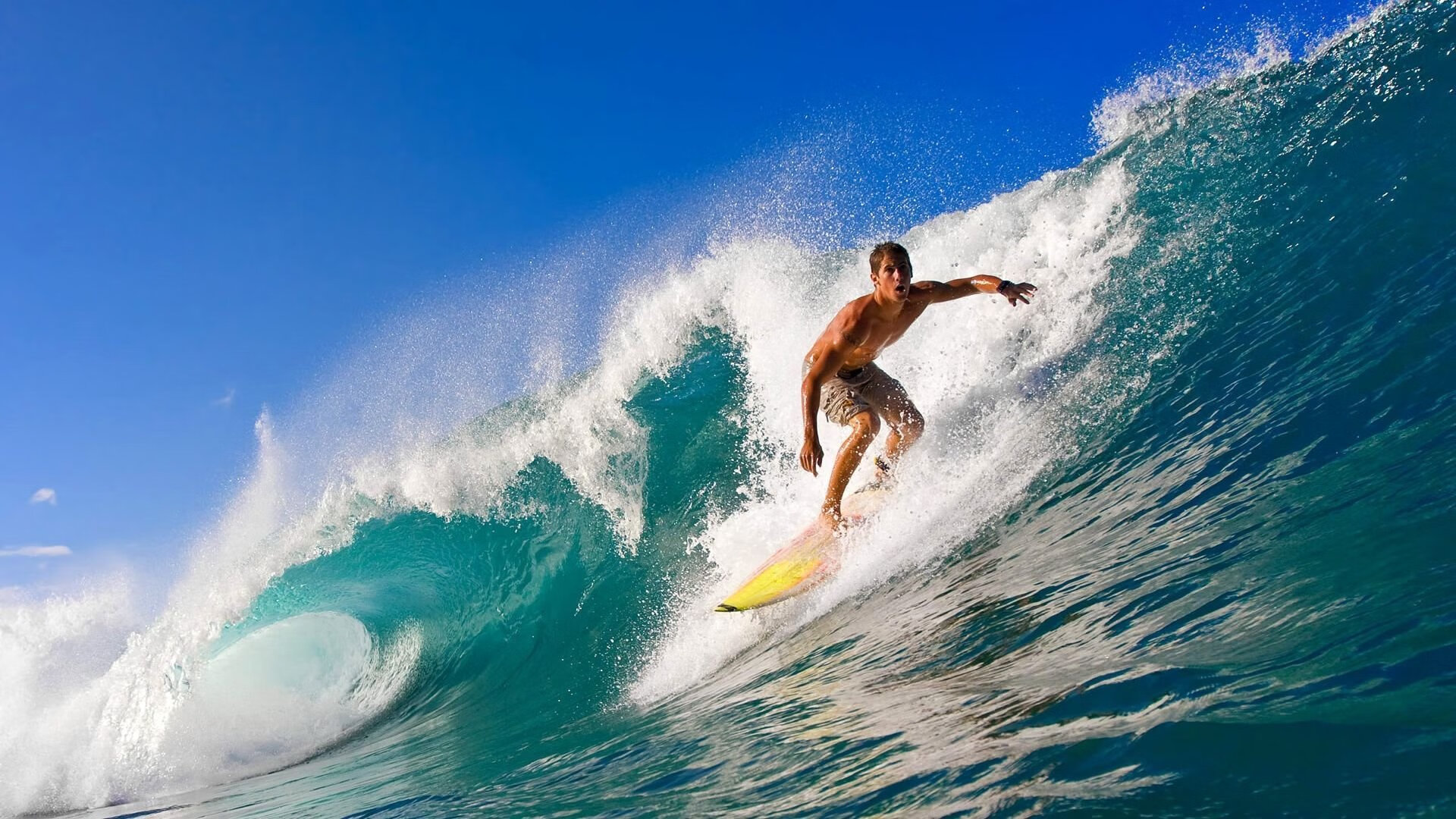 华体会-篮球梦见证信念与荣耀共生